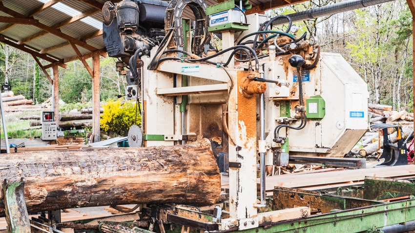 Commerce de bois, Sansac-Veinazès